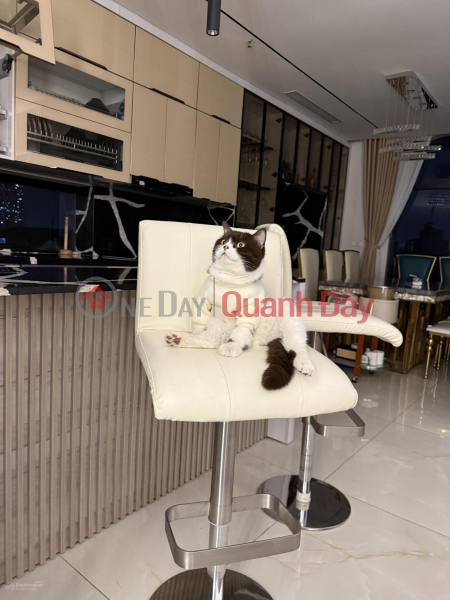 Owner selling a 6-story house, 165m2, on Dai Dong Street, Thanh Tri, Hoang Mai - Currently rented out as apartment buildings. | Vietnam | Sales | đ 52 Billion