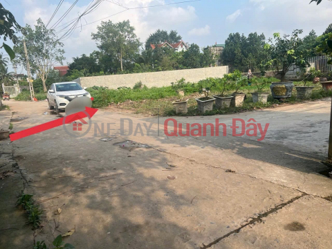 Đấu giá AB Quán Trạch -Liên Nghĩa - Văn Giang 93m mặt tiền 5m đường oto thông _0