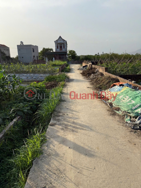 Property Search Vietnam | OneDay | Nhà ở Niêm yết bán Bán đất thôn Bắc Thượng, Quang Tiến, Sóc Sơn, HN. Gần đường DT 131 và sân bay Nội Bài