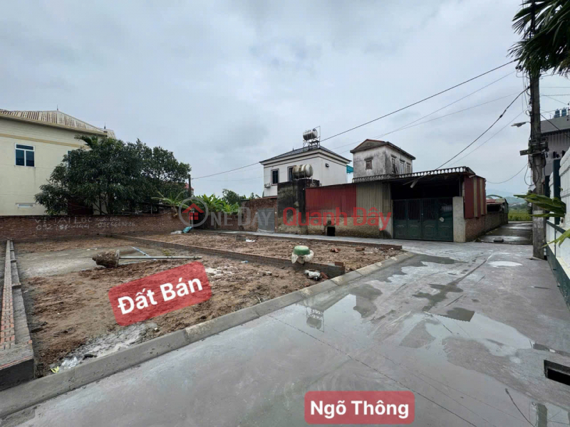 Property Search Vietnam | OneDay | Nhà ở Niêm yết bán | Lô đất đẹp Đông Lai - Full thổ cư - Vị trí đắc địa gần trục chính, gần KCN Nội Bài - Giá đầu tư