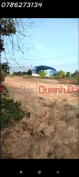 đ 10 tỷ | BÁN ĐẤT MẶT TIỀN 30M – TỔNG 6.975m² – CÓ 975m² THỔ CƯ – ẤP 2, XÃ TÂN ĐÔNG, HUYỆN Thạnh Hóa