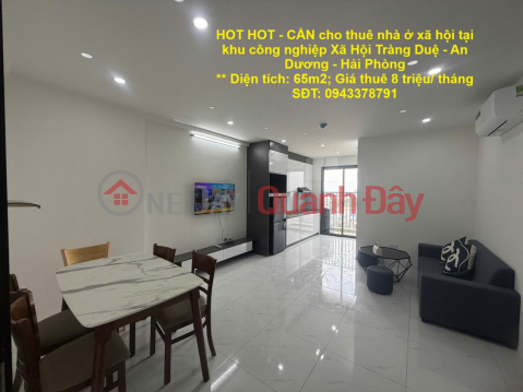 HOT HOT - NEED to rent social housing in Trang Due Social Industrial Park - An Duong - Hai Phong _0