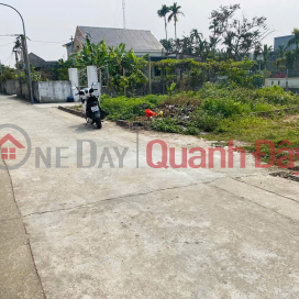 Mình là chính chủ cần bán lô đất của mình ở Lai Hạ, Tân Dân, An Lão , Hải Phòng _0
