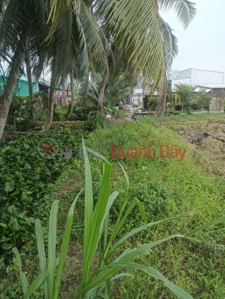 đ 600 Million | OWNER'S LAND - GOOD PRICE - Land for Sale in Long Binh Hamlet, Phu Thanh Commune, Dong Thap