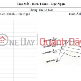 HIGH PROFITABLE INVESTMENT OPPORTUNITY LAND IN CHU TOWN - BAC GIANG - OWN A FARM WITH STABLE CASH FLOW _0