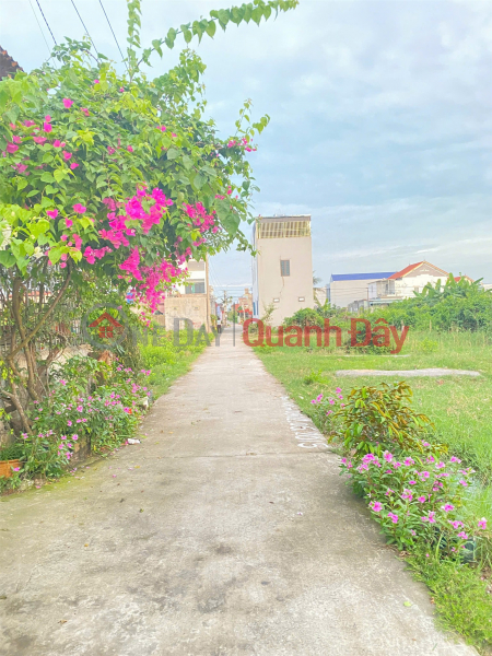 Property Search Vietnam | OneDay | Nhà ở | Niêm yết bán GIÁ 2,0XX TỶ – LÔ ĐẤT NGÕ 199 TÂN THÀNH, 100M² VUÔNG VẮN, MỨC GIÁ THAM KHẢO TỐT ZALO 0567 222 555