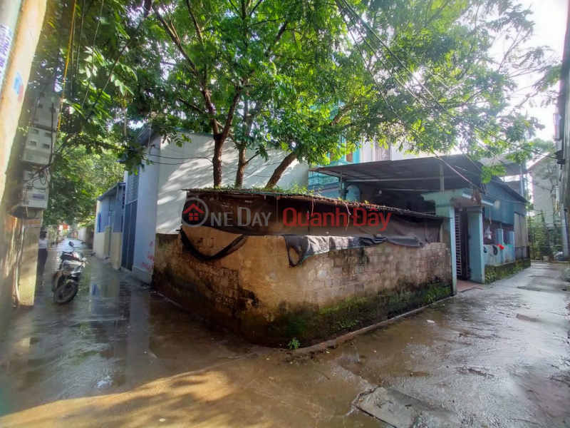 Property Search Vietnam | OneDay | Residential | Sales Listings | Area of 33 m2 corner lot, one single lot in Thuy Huong, motorable road running everywhere, 3 km away from Chuc Son, quiet Nghia