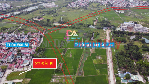 Land sale at auction of X2 Dai Bi village, Uy No commune, Dong Anh district, Hanoi city. _0