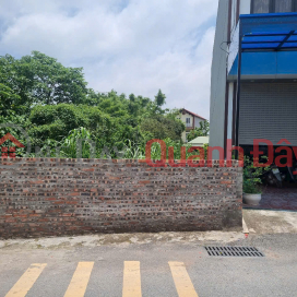 CHÍNH CHỦ CẦN BÁN LÔ ĐẤT TRỤC CHÍNH KINH DOANH 118M TẠI PHỤNG CHÂU-CHƯƠNG MỸ-HÀ NỘI _0