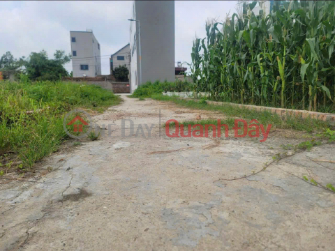 Land for sale in group 10, Quang Minh town, Me Linh. Corner lot with 3 beautiful open sides, near industrial park. 100% residential land _0