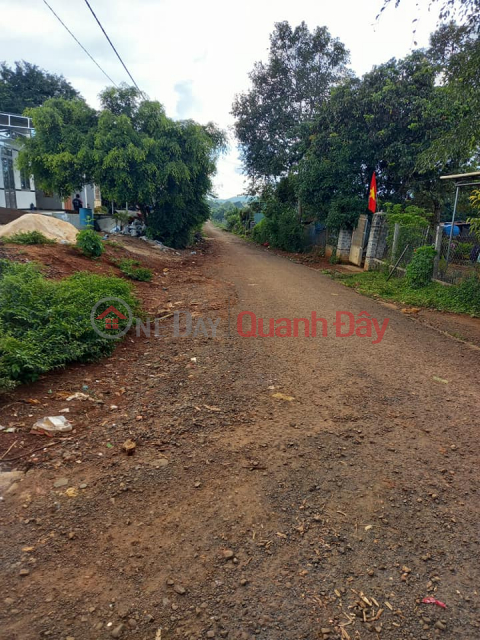 Land for sale in Le Duan alley, Thang Loi ward _0