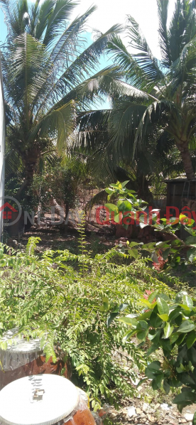 BEAUTIFUL LAND - PROFITABLE INVESTMENT - Owner Needs to Quickly Sell Land Lot in My Thanh Ward, Long Xuyen, An Giang | Vietnam | Sales đ 350 Million