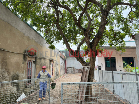 Land for sale in Chi Dong, Me Linh - 81m2 - Wide alley, car can park at the door - Near Quang Minh Industrial Park _0