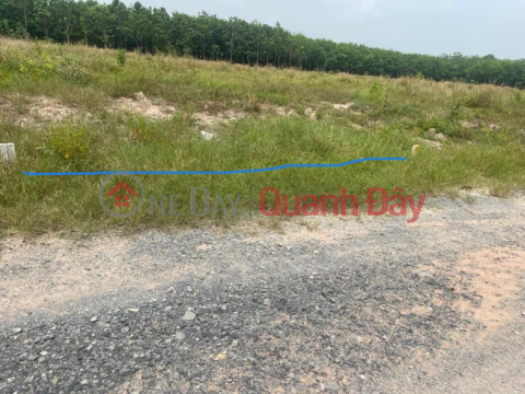 BEAUTIFUL LAND - GOOD PRICE - Urgent Sale Land Lot with Beautiful Location Front Alley Road in Ben Cat Town _0