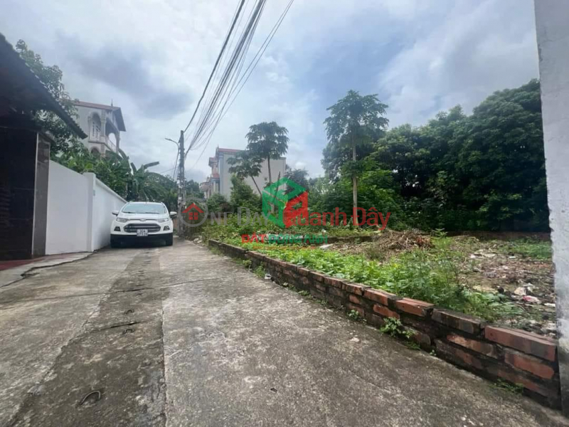 Property Search Vietnam | OneDay | Residential Sales Listings Land for sale in Co Duong, Tien Duong, 2 sides, split alley, extremely beautiful