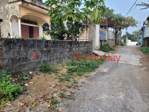 Need to sell a plot of land in village 4, Thuy Xuan commune, Tien Chuong My, Hanoi, DT; 197m, easy-going truck road, far from National Highway 6 _0