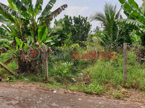 ĐẤT ĐẸP - GIÁ TỐT - Bán GẤP 1 Công Đất Mặt Tiền Tại Xã An Hóa, Châu Thành, Bến Tre _0