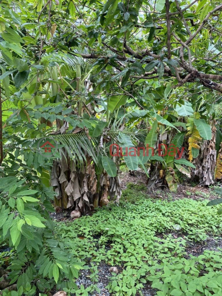 ĐẦU TƯ LÀ SINH LỜI - Đất Chính Chủ Khu vực 3, Phường Hiệp Thành, TP Ngã Bảy, Hậu Giang, Việt Nam, Bán đ 1,8 tỷ