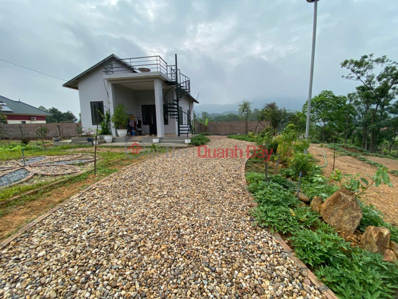 LAND IN GOOD LOCATION - GOOD PRICE Owner sells land in Soc Son district, Hanoi Sales Listings