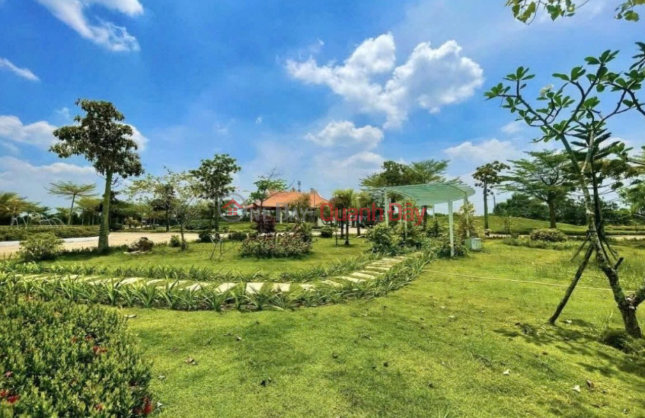 Property Search Vietnam | OneDay | Residential | Sales Listings, Four standard burial plots at Bong Lai Vien Cemetery - Duc Hoa, Long An are urgently available for transfer.