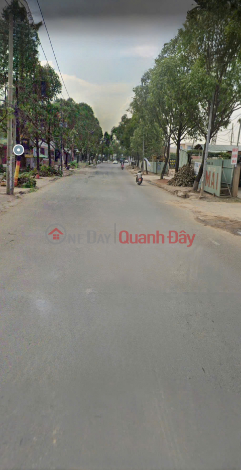 Sở Hữu Ngay Lô Đất Thổ Cư 100% Phường Tân Hạnh, TP Biên Hòa, Đồng Nai - Giá Siêu Rẻ _0