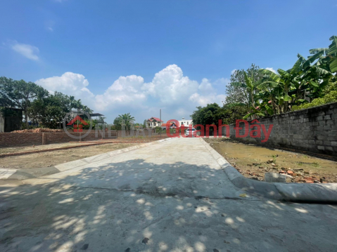 The owner needs to sell a large road plot with a spacious yard near Chien Thang - An Lao industrial park at the cheapest price in Hai Phong. _0