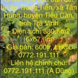 The owner needs to sell land in Trung Tien hamlet, Tan Hung commune, Tieu Can district, Tra Vinh province _0