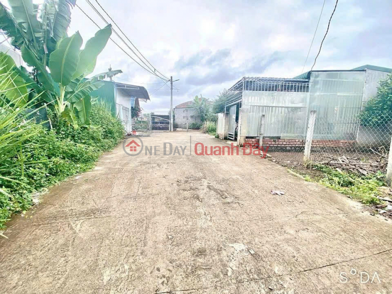 Property Search Vietnam | OneDay | Residential Sales Listings | Selling 150.2m2 of land near Thong Nhat - Phu Hoi - Duc Trong - Lam Dong - about 2km from Lien Nghia market