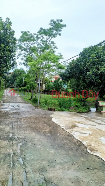 đ 6 Billion | BEAUTIFUL LAND - GOOD PRICE - Owner For Sale Beautiful Land Lot In Mong Cai
