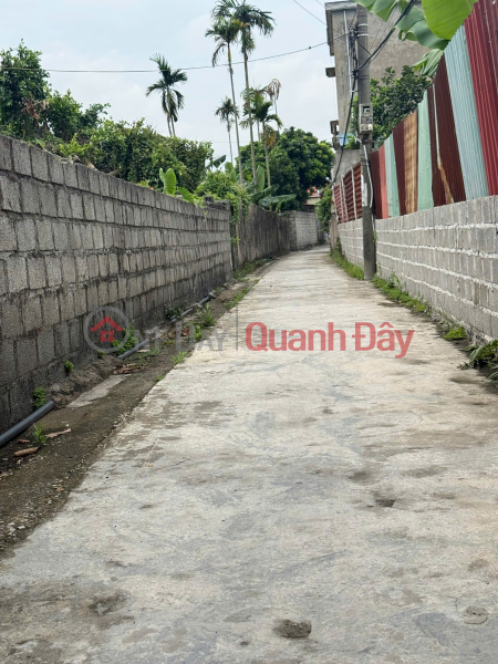 Property Search Vietnam | OneDay | Nhà ở, Niêm yết bán, CƠ HỘI HIẾM CÓ: 100M2 TUYẾN 2 TƯ THỦY GIÁ CHỈ 440 triệu
