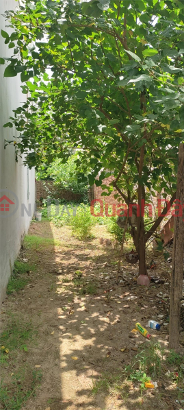 đ 750 Million | Land for sale in Phuc Ha Village - Song Mai Commune - Bac Giang City