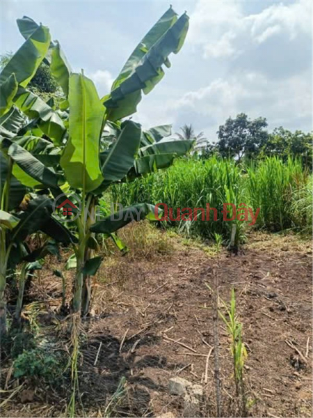 đ 700 Million BEAUTIFUL LAND - INVESTMENT PRICE - OWNER URGENTLY NEEDS TO SELL LAND LOT in Hoa Phu Commune, Buon Ma Thuot City, Dak Lak