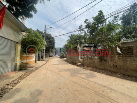 OWNER NEEDS TO SELL 60M LAND LOT IN NINH SON-CHUC SON TOWNSHIP-CHUONG MY WARD-HANOI _0