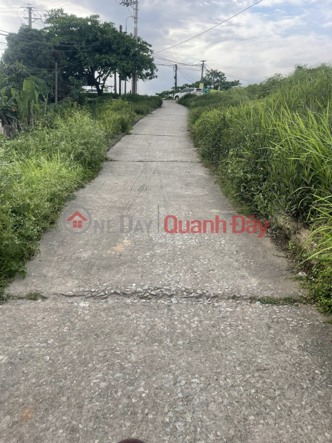 THANH TRI - DONG MY - STRAIGHT ACCESS TO THE LAND - 40 meters only 2 billion - NEGOTIABLE _0