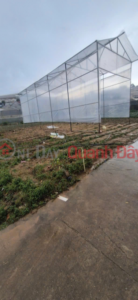 OWN A LOT OF LAND WITH 2 FRONTAGES - GOOD PRICE - OWNER NEEDS TO SELL Thanh Mau Land, Da Lat Vietnam Sales | đ 1.5 Billion