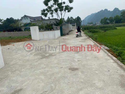 BÁN LÔ ĐẤT ĐẸP GIÁ TỐT TẠI THÔN CHÂU DỀ, XÃ CAO DƯƠNG, LƯƠNG SƠN, HÒA BÌNH _0
