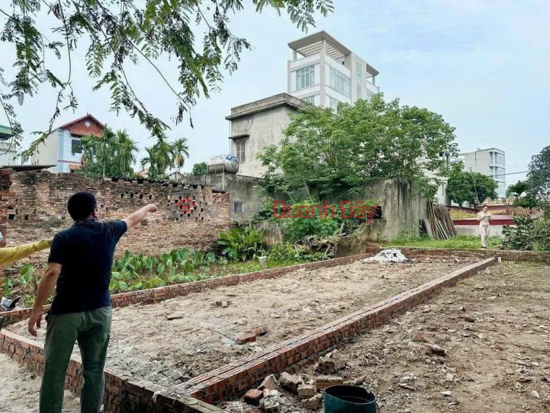 SELLING 2 LOT OF 62.33M DUONG NEIGHBORHOOD, NGUYEN KHE, DONG ANH - 5-SEATER CAR ROAD ENTRANCE TO THE LAND - INVESTMENT PRICE 3XTR Sales Listings