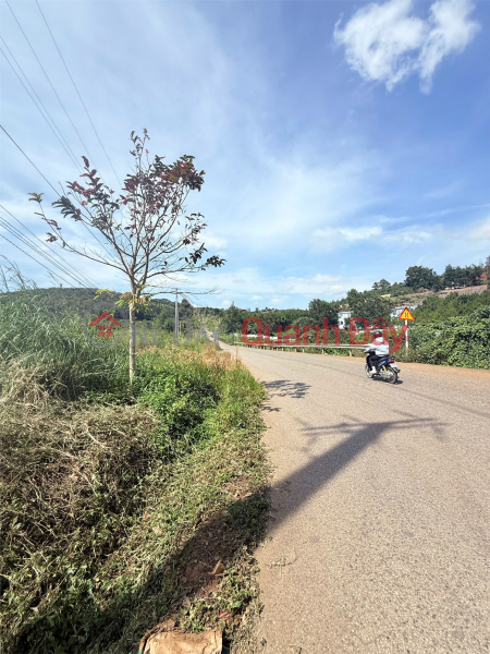 ĐẤT ĐẸP- GIÁ TỐT CHÍNH CHỦ CẦN BÁN NHANH LÔ ĐẤT TIỀM NĂNG TẠI huyện Bảo Lâm, tỉnh Lâm Đồng Việt Nam, Bán | đ 1,68 tỷ