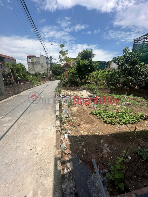CHỈ 5.5 TỶ – SỞ HỮU NGAY LÔ ĐẤT73 m2 ĐẸP ĐÔNG DƯ, GIA LÂM – MẶT TIỀN 8M SIÊU HIẾM _0