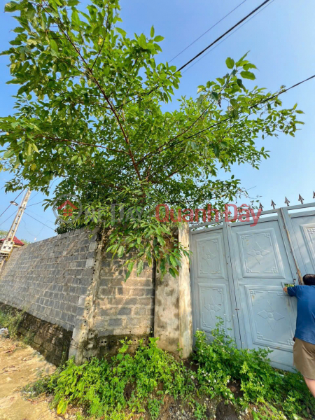 BEAUTIFUL LAND - GOOD PRICE - OWNER NEEDS TO SELL Residential Land Lot In Hoa Thach, Quoc Oai, Hanoi, Vietnam Sales | đ 10 Billion