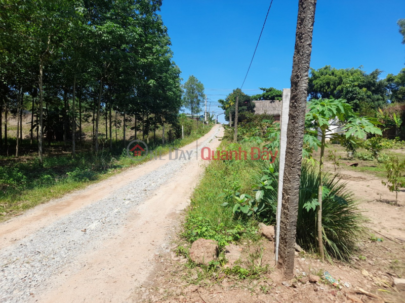 Property Search Vietnam | OneDay | Nhà ở, Niêm yết bán, Bán đất 2197 mét mặt tiền đường Vĩnh Hòa 70, Phú Giáo, Bình Dương