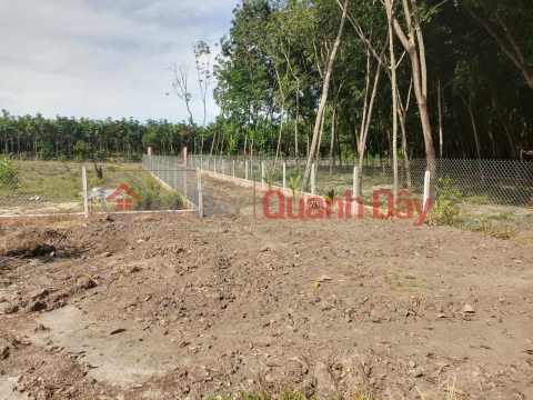 HOTT HOTT - Owner Needs to Quickly Sell Beautiful Land Plot in Hoa Loi - Ben Cat - Binh Duong _0