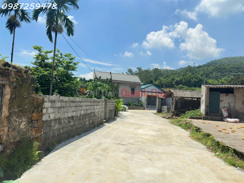 Chính chủ em bán gấp lô đất 300m Xóm Liên Khuê, Xã Cư Yên, Huyện Lương Sơn, Hòa Bình Niêm yết bán
