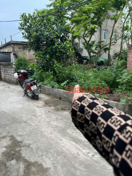 Property Search Vietnam | OneDay | Nhà ở Niêm yết bán Chính chủ cần bán nhanh lô đất 72m2 tại Mai Xá, Thắng Lợi,Thường Tín
