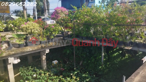 Bán Đất Thổ Cư Mặt Tiền Chính Đường Làng Hoa Sa Đéc, 200m2, SHR, Giá 3.5 Tỷ _0