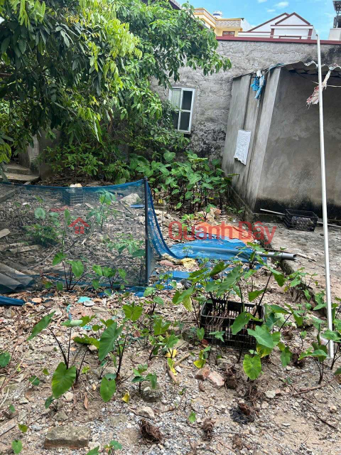 Chính chủ cần bán 38.5 m2 đất Cổ Bi- Gia Lâm, giá chỉ 3.1 tỷ, liên hệ 0985865658 _0