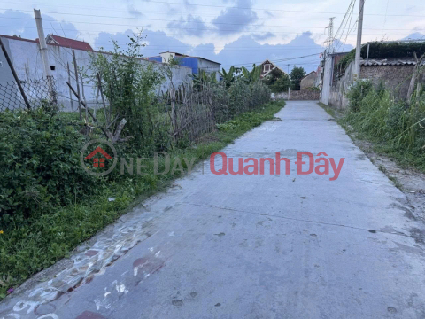 Chính chủ bán lô đất 60m2 tại Hoàng Lâu, Hồng Phong, An Dương, Hải Phòng - Giá 1,66 tỷ _0