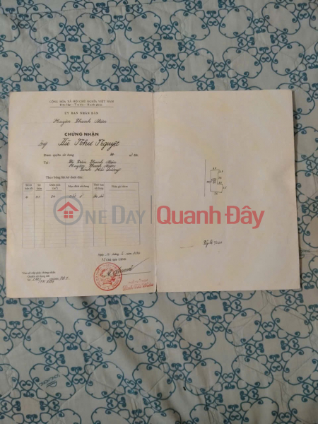 Property Search Vietnam | OneDay | Nhà ở, Niêm yết bán | ĐẤT ĐẸP- GIÁ TỐT CHÍNH CHỦ BÁN NHANH LÔ ĐẤT TIỀM NĂNG mặt đường Nguyễn Lương Bằng t.trấn Thanh Miện