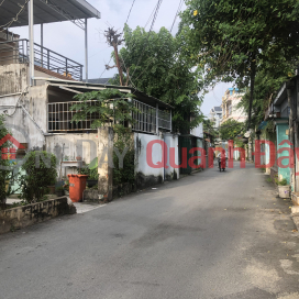 Corner lot, Nguyen Van Luong, loading alley, 55m2, price 4.4 billion _0