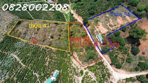 Chính chủ bán nhanh 5518m2 đất tại Xuân Trường, Đà Lạt, giá 4.5 tỷ _0